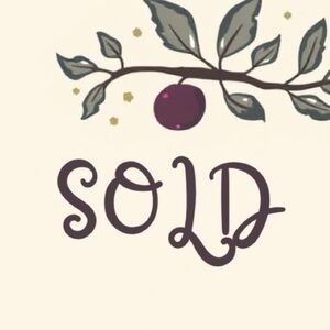 🔴 SOLD 🔴Jellycat Bashful Turtle